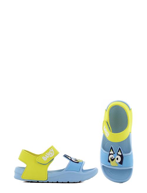 Se Bluey Sandal Leomil Blue ved Booztlet