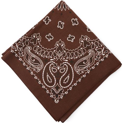 qUINT Bandana Paisley
