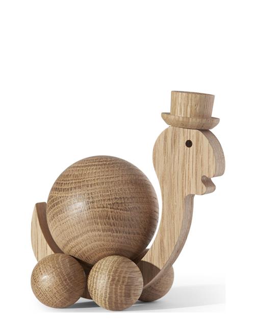 Spinning Turtle ChiCura Brown