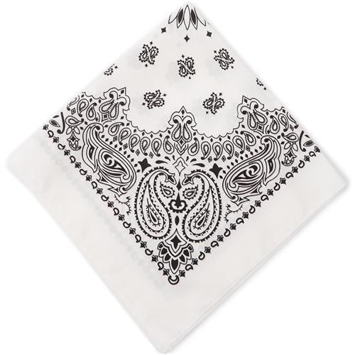 qUINT Bandana Paisley