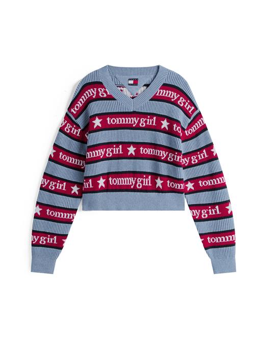 Tommy Jeans Pullover  marin / lyseblå / brandrød / hvid