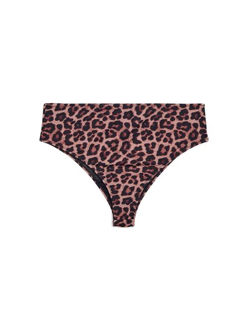 Swim by Zizzi Bikinitrusse 'Caanne'  blandingsfarvet