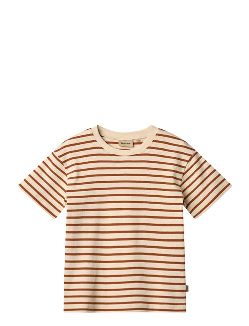 T-Shirt S/S Fabian Wheat Brown