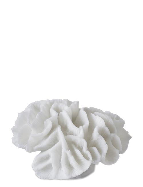 Coral, Gills Mette Ditmer White