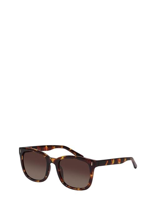 Katya Recycled Sunglasses Tortoise Brown/Gold Pilgrim Brown