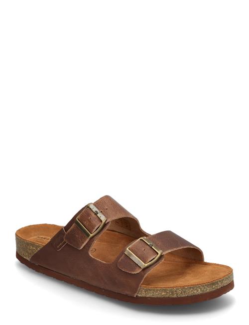 Vant Marstrand Marstrand Brown