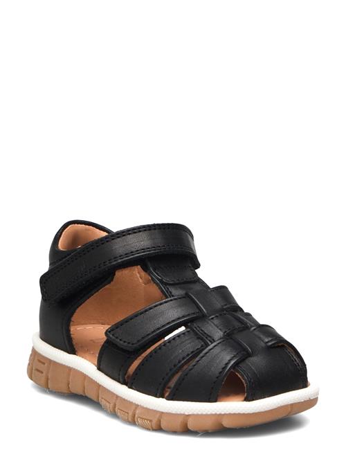 Bisgaard Angus Bisgaard Black
