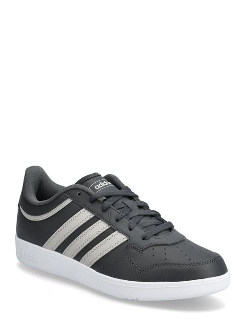 Hoops 4.0 Adidas Sportswear Black