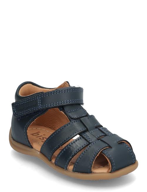 Bisgaard Carly Bisgaard Navy