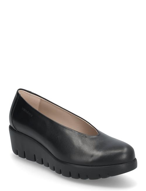 Fly Wonders Black