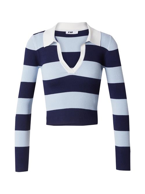 Tally Weijl Pullover  navy / lyseblå / hvid