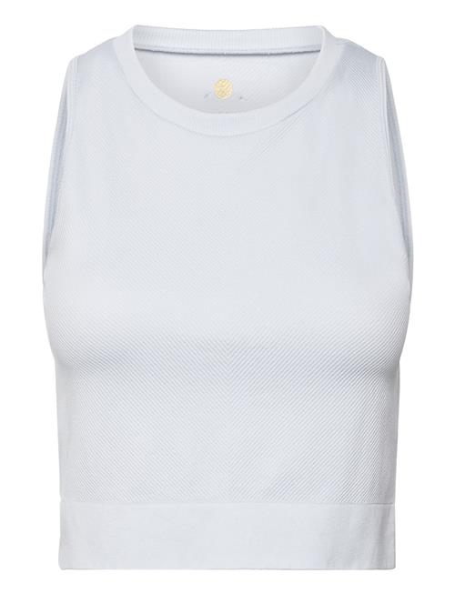 Horigami W Seamless Cropped Top Athlecia Blue