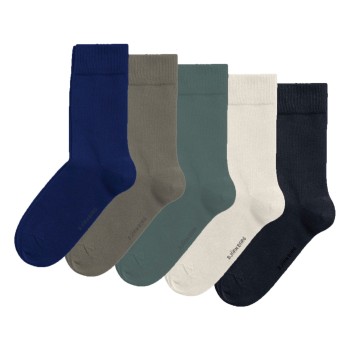 Björn Borg Strømper 5P Essential Ankle Sock Blå/Hvid Str 36/40 Herre
