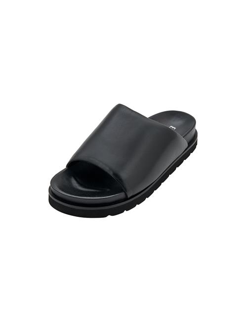 EDITED Slipper 'Mirea'  sort