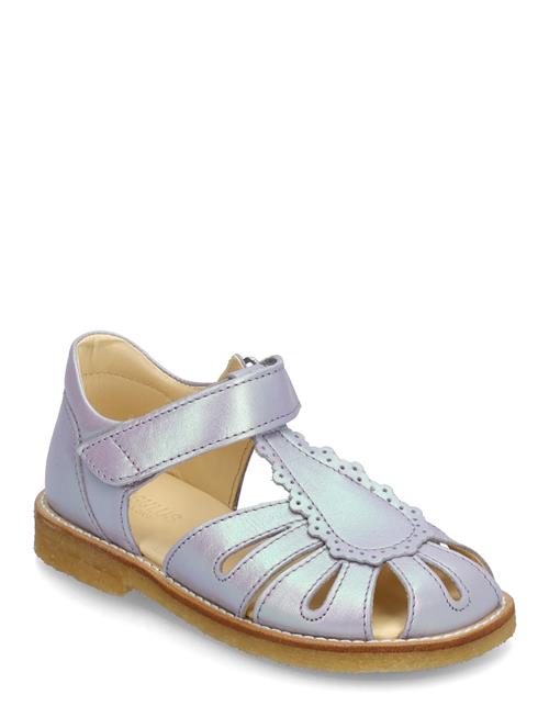 Sandals - Flat - Closed Toe - ANGULUS Purple