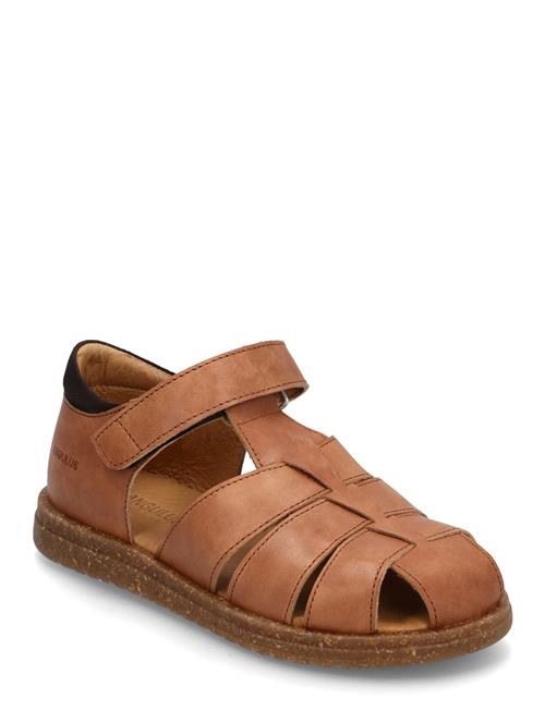 Sandals - Flat - Closed Toe - ANGULUS Brown