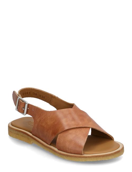 Sandals - Flat - Open Toe - Op ANGULUS Brown