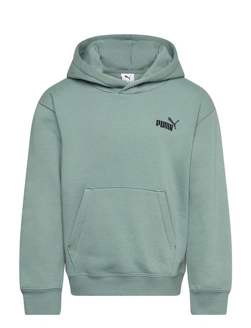 Ess Small No. 1 Logo Relaxed Hoodie Fl B PUMA Green