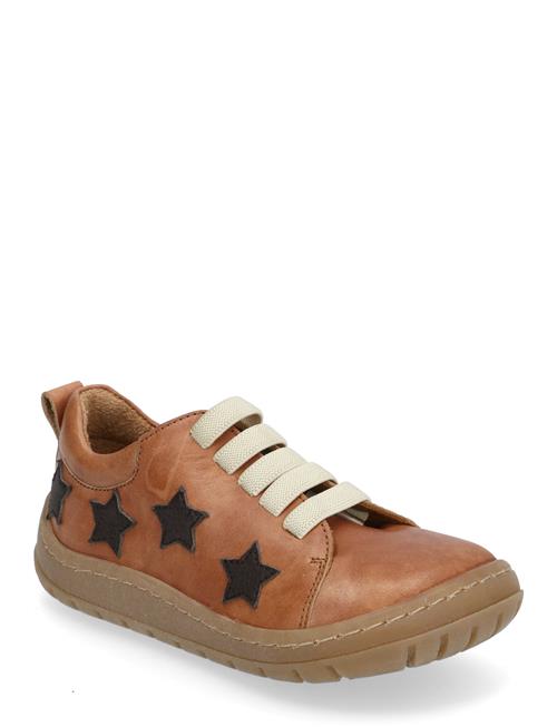Shoes - Flat - With Lace ANGULUS Brown