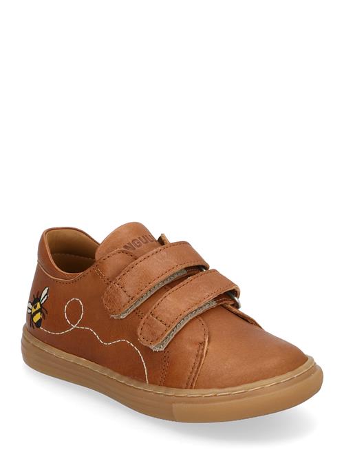 Shoes - Flat - With Velcro ANGULUS Brown