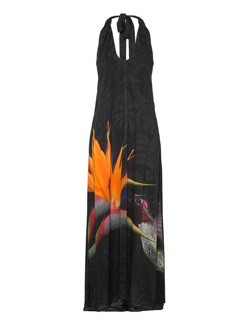 Colibrí Dress Desigual Black