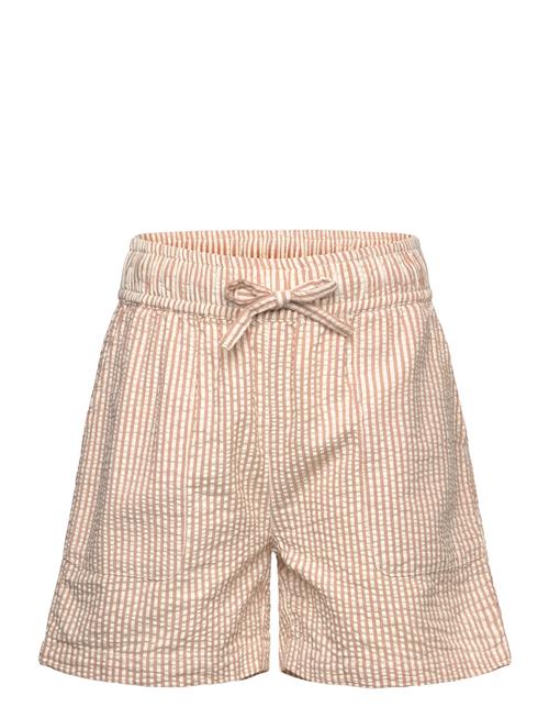 Tnollie Shorts The New Beige