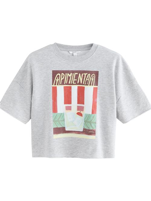 Next Shirts  mørkebrun / grå-meleret / knaldrød / hvid