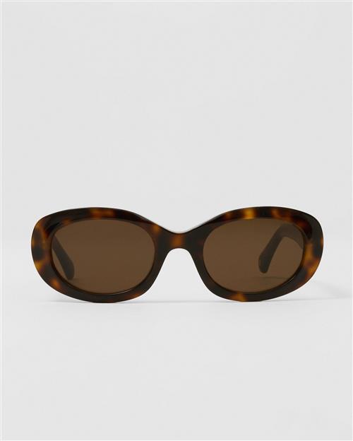 Corlin Eyewear - Brun - Carpi