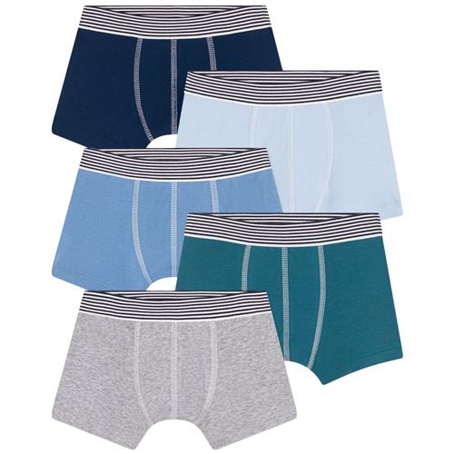 Petit Bateau 5-pak Boxershorts Dragonfly Alaska | Blå | 4 years