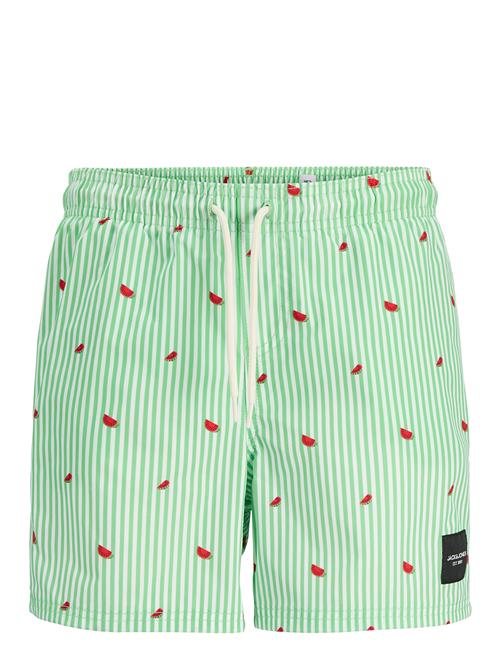 Jack & Jones Jpstmaui Jjswim Mini Stripe Akm Jnr Jack & J S Green