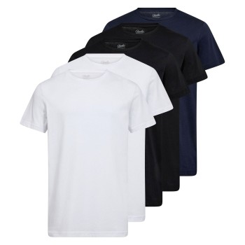 Claudio 5P Cotton T-Shirt Flerfarvet bomuld Medium Herre