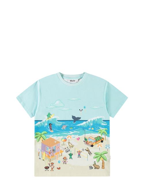 Riley Molo Blue