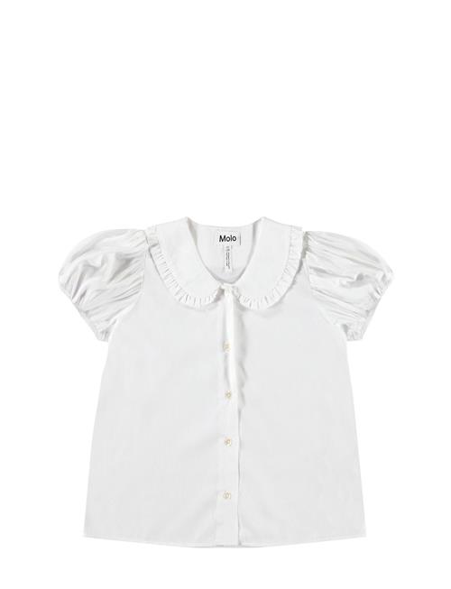 Rosabella Molo White