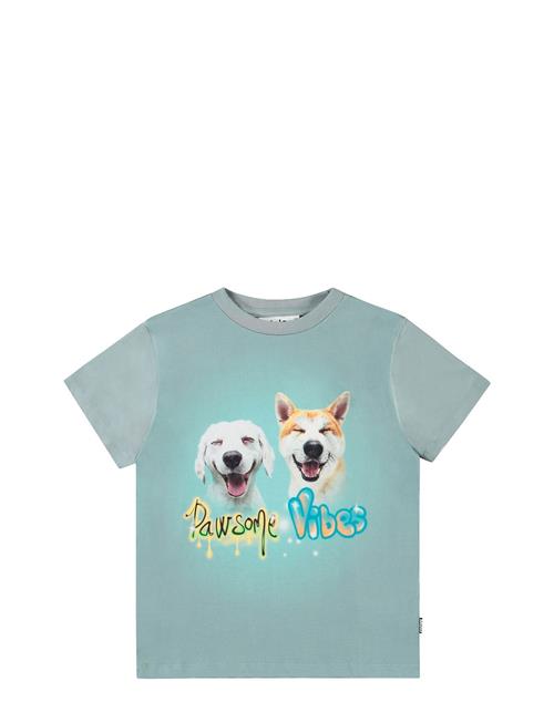 Rame Molo Blue
