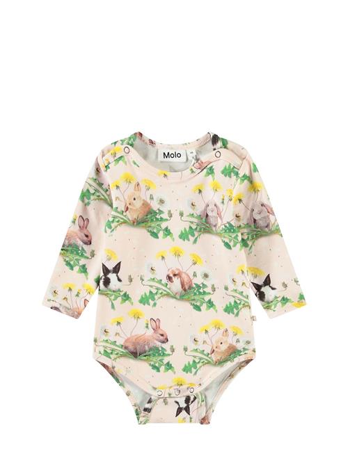 Foss Molo Cream