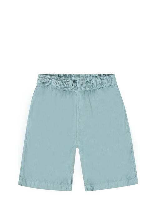 Arrow Molo Blue