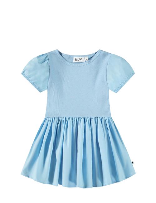 Caitlin Molo Blue