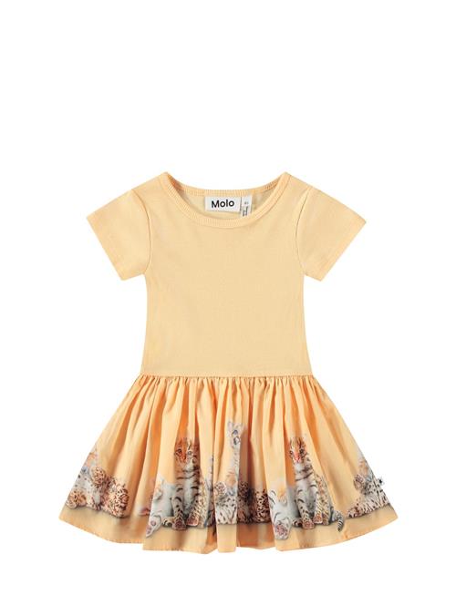 Carin Molo Yellow