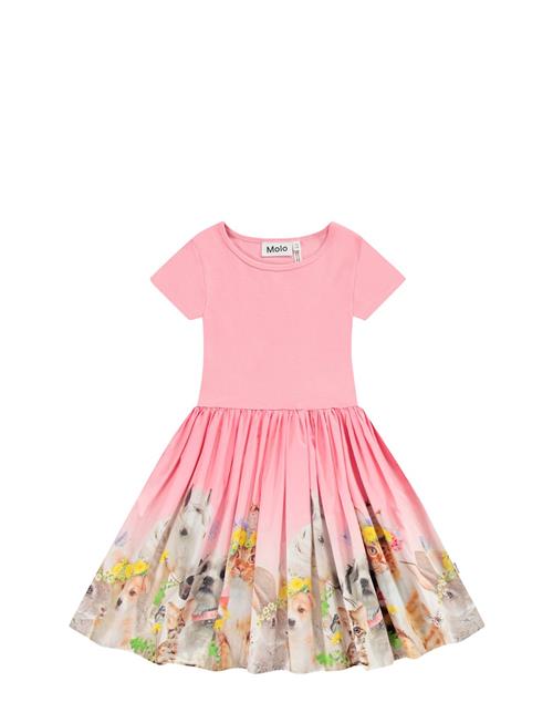 Cissa Molo Pink