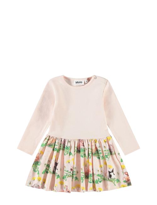 Carel Molo Pink