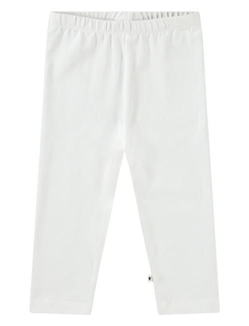 Nette Solid Molo White