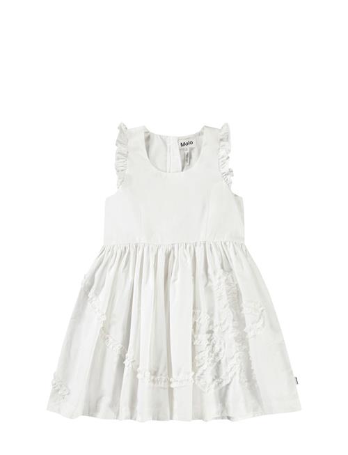 Cortney Molo White