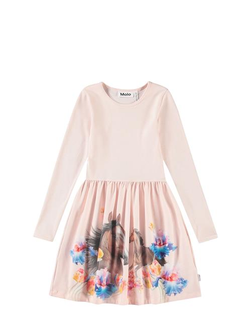 Credence Molo Pink