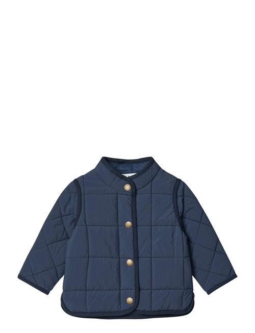 Harrie Molo Blue