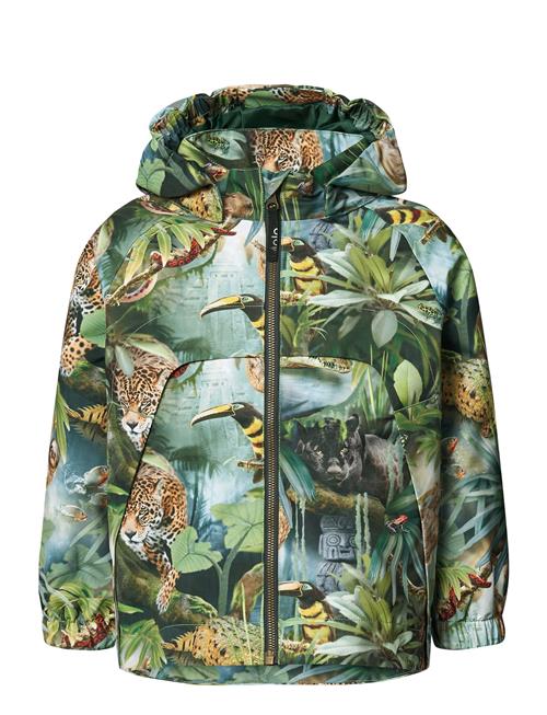 Hoplas Molo Green