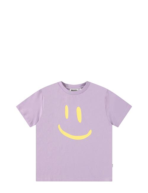 Roxo Molo Purple