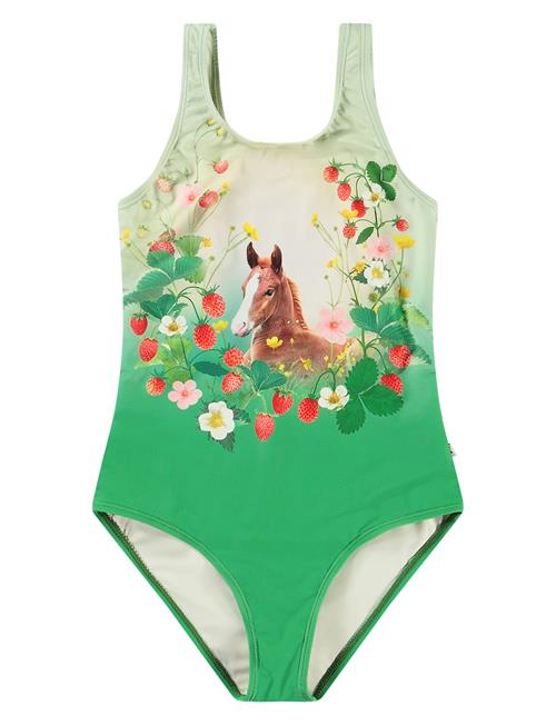 Nika Molo Green
