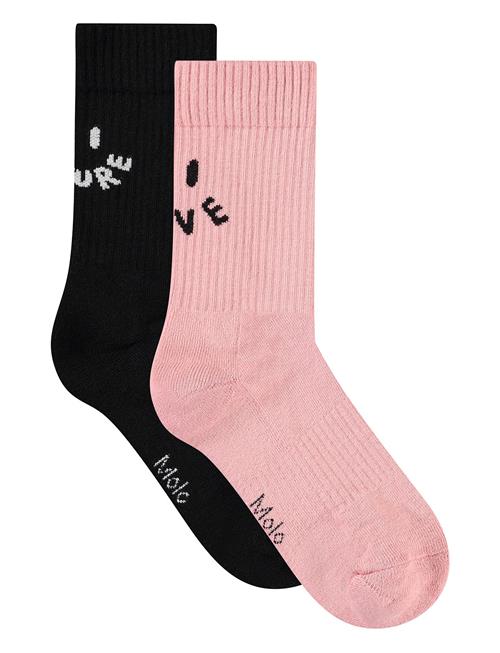 Norman Molo Pink