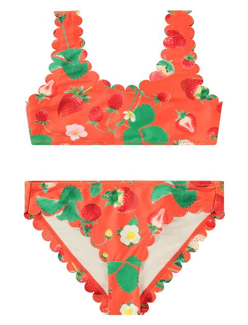 Nolina Molo Orange