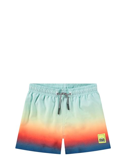 Niko Molo Blue